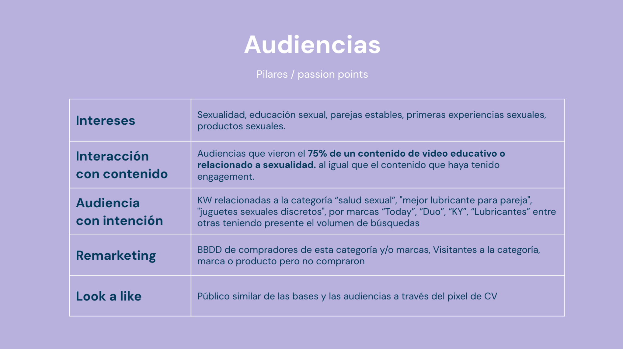 Pilares y audiencias consideradas para la estrategia